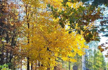 Apartament TatraVika - Photo 45