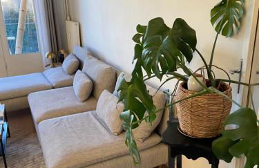 Le tournesol - Foto 5