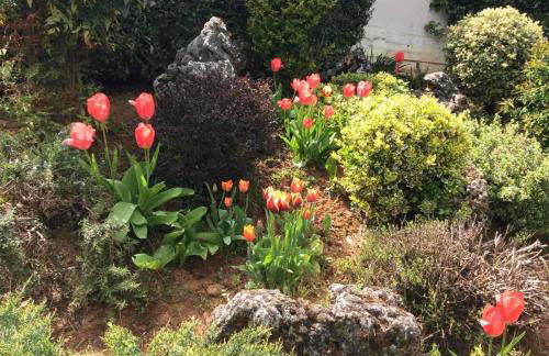 Casa Artistico - Foto 6