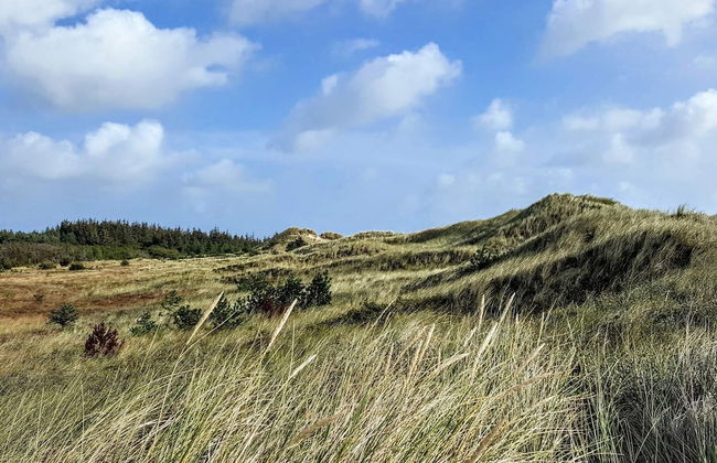 8 Person Holiday Home in Albaek - Foto 9