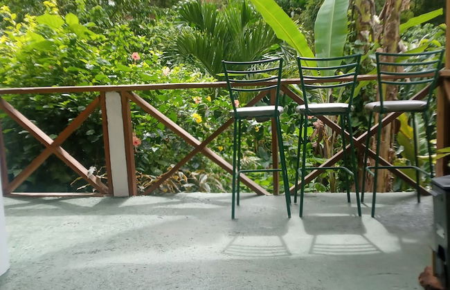 Berkey's Jungle Paradise - Photo 31