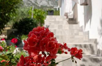 Lavanda home - Foto 24