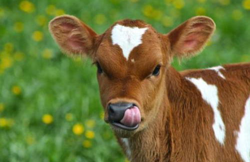 Loxley Barn, 1-bed Cottage Retreat - Photo 83