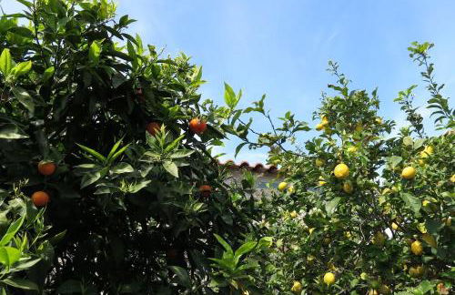 Aeolos beachfront family residence - Foto 58