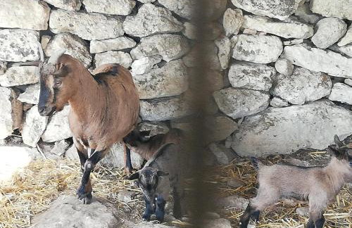 Le Grotte di Sileno - Foto 52