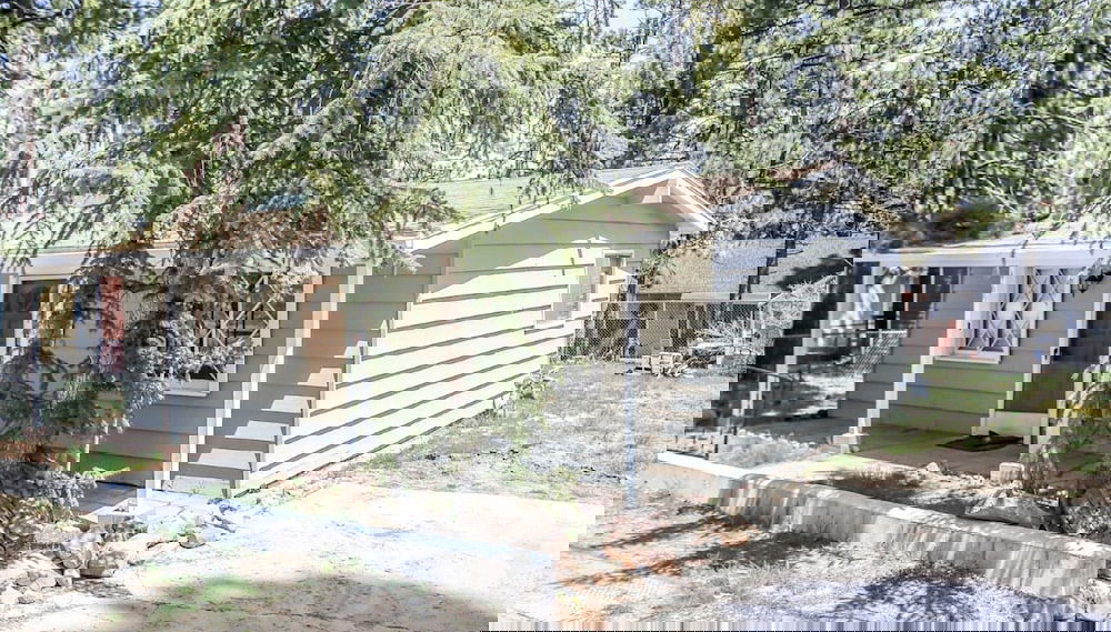 Honey Bear - Foto 1, Imagen principal