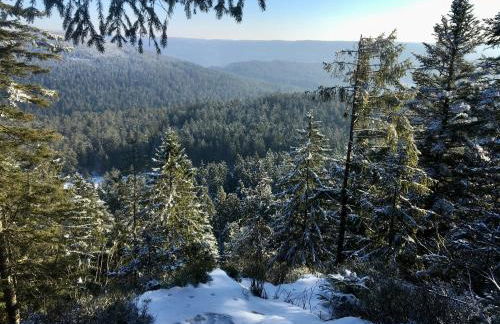 romantisches Winzerhäuschen Schwarzwald und Weinberge - Foto 19