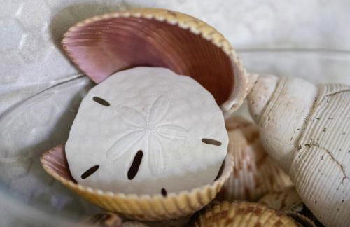 Chateau Mariposa - Foto 17