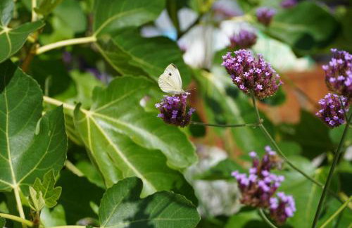 110qm Countryside Loft - Foto 61