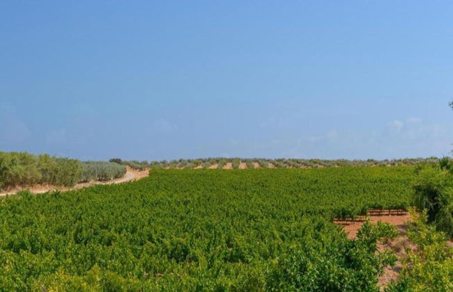 Apartment in Montilla Near Palacio Medinaceli - Foto 32