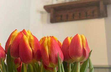 The Railway Cottage Bridgnorth - Foto 33