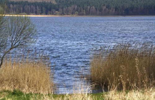 Gemuetlicher Bungalow mit Garten UND Whirlpool in Nakenstorf - Foto 80