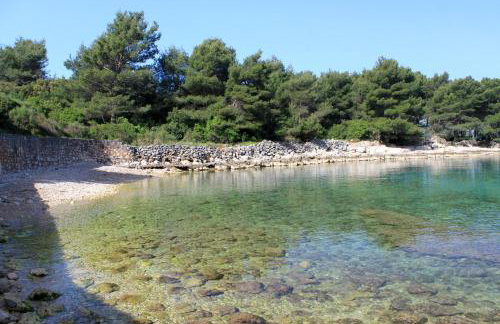 Apartments with parking space Dol, Hvar - 24122 - Foto 3