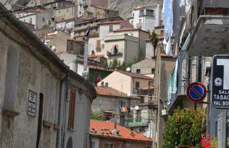 The Flowers' House - Photo 53