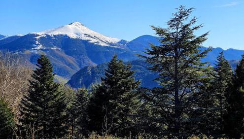 Cal Brugués - Casa de montanya - Foto 5