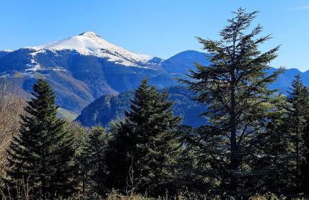 Cal Brugués - Casa de montanya - Foto 5
