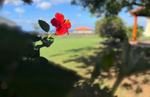 Casa Punta del Viento Tenerife - Foto 22