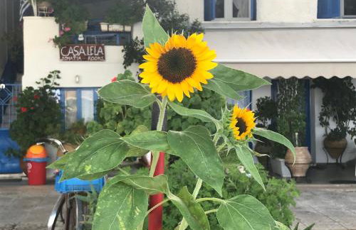 CASA LELA 1...όπως μια φορά...like once - Photo 24