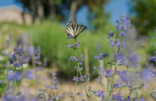 Villa Amata - Foto 17