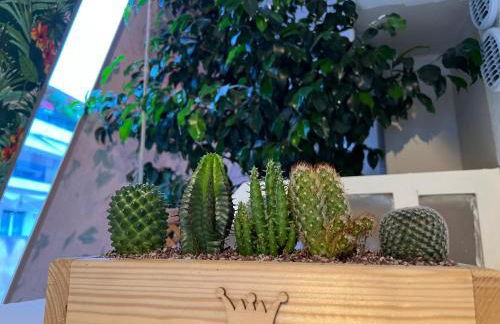 The island studio - Foto 35