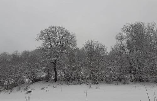 Le Cappellette - Foto 16