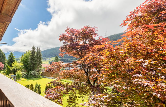 Abendsonne - Foto 32