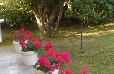 Giardino delle rose - Foto 50