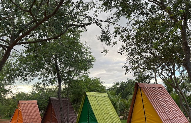 Hotel Haras Paraíso do Atlântico - Foto 5