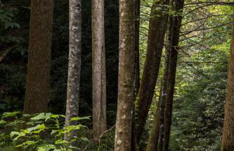 Modern Mirror Home w/ Hot-tub | “Glass House” #2 - Foto 31