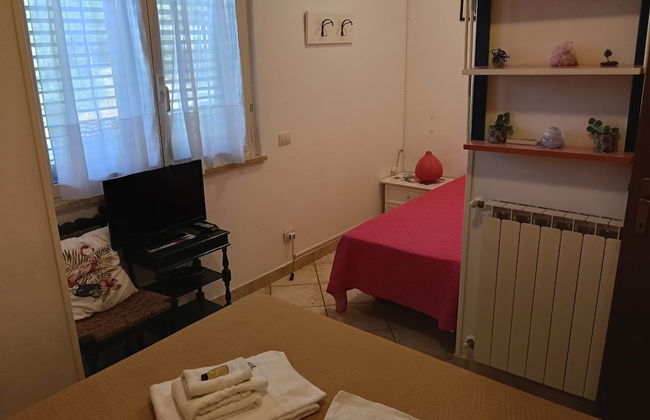 I Cardinali - Foto 5