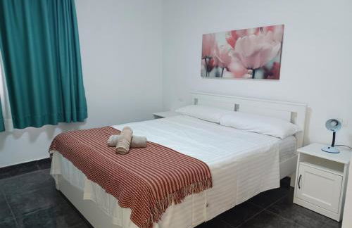 APARTAMENTO MAYI - Foto 12