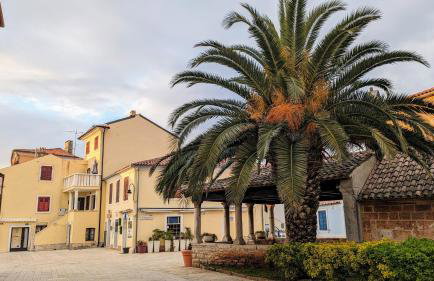 Poolside Studio - Foto 39