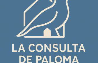 La consulta de Paloma, Plaza encanto historico - Foto 24