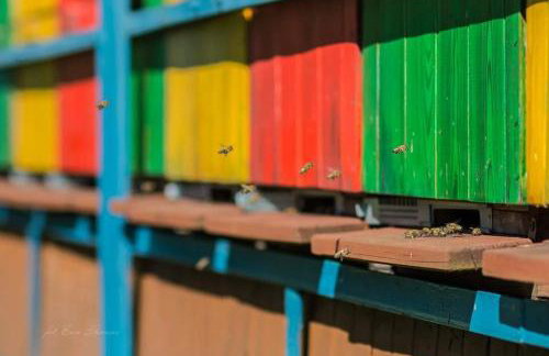 Gościniec Polna Pszczoła - Foto 10