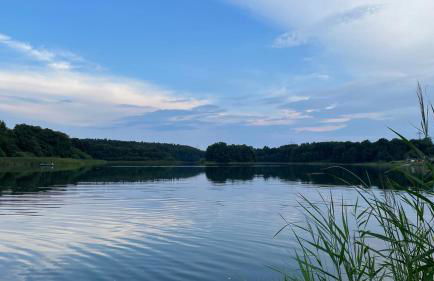 Ferienhaus Weisdin - Foto 13