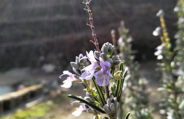 Casa da Quinta do Porto - Foto 47