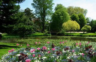 Nouvel appart cosy, centre Tours - Photo 11