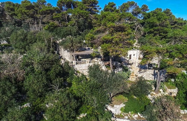 Pajara Acquaviva - Foto 23