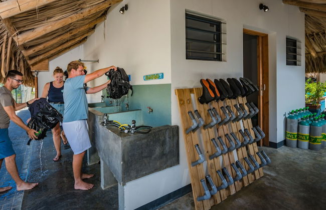 Bloozz resort Bonaire - Foto 77