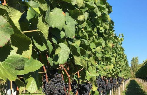 Savoir Vivre Modern Retreat - Foto 70