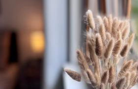 Design Apartment im Schlossareal Deidesheim - Foto 7