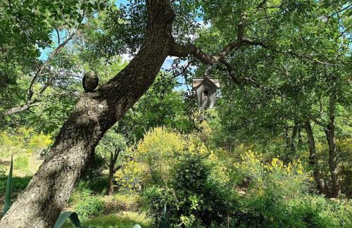 La Cabane Féerique Le Clos des Perles - Foto 29