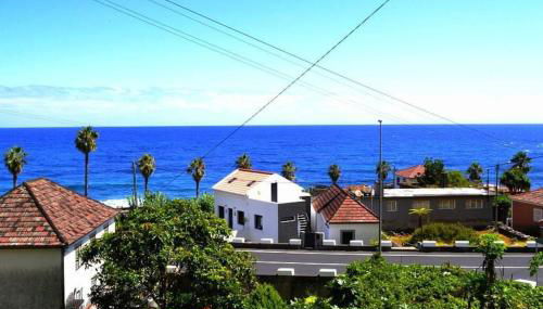 Lazy Lizard Studio - Foto 4