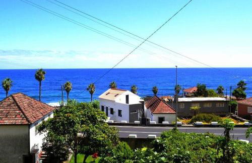 Lazy Lizard Studio - Foto 4