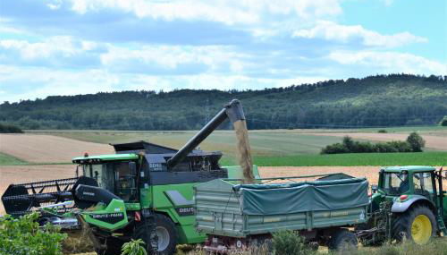 Ferienwohnung Jannack für 5 Personen in Bad Münder - Foto 5