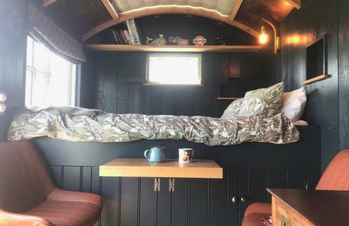 Astronomer Shepherd's hut - Foto 38