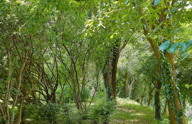 Palazzo Dei Laghi by Elite Villas - Photo 43