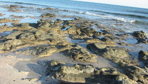 Cotillosand - Foto 2, Other