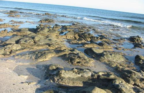 Cotillosand - Foto 2