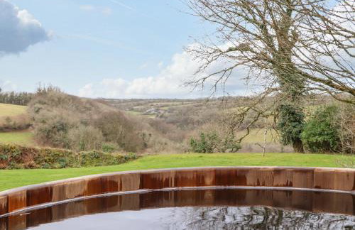 Treveddoe Farmhouse - Foto 45